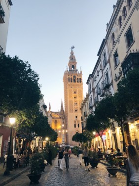 Processed with VSCO with hb1 preset