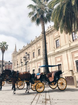 Processed with VSCO with hb1 preset