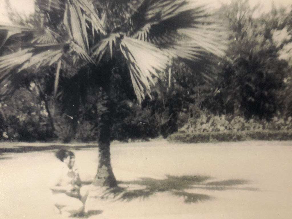 Land Dispossession and Alternative Realities in my Island&nbsp;Home